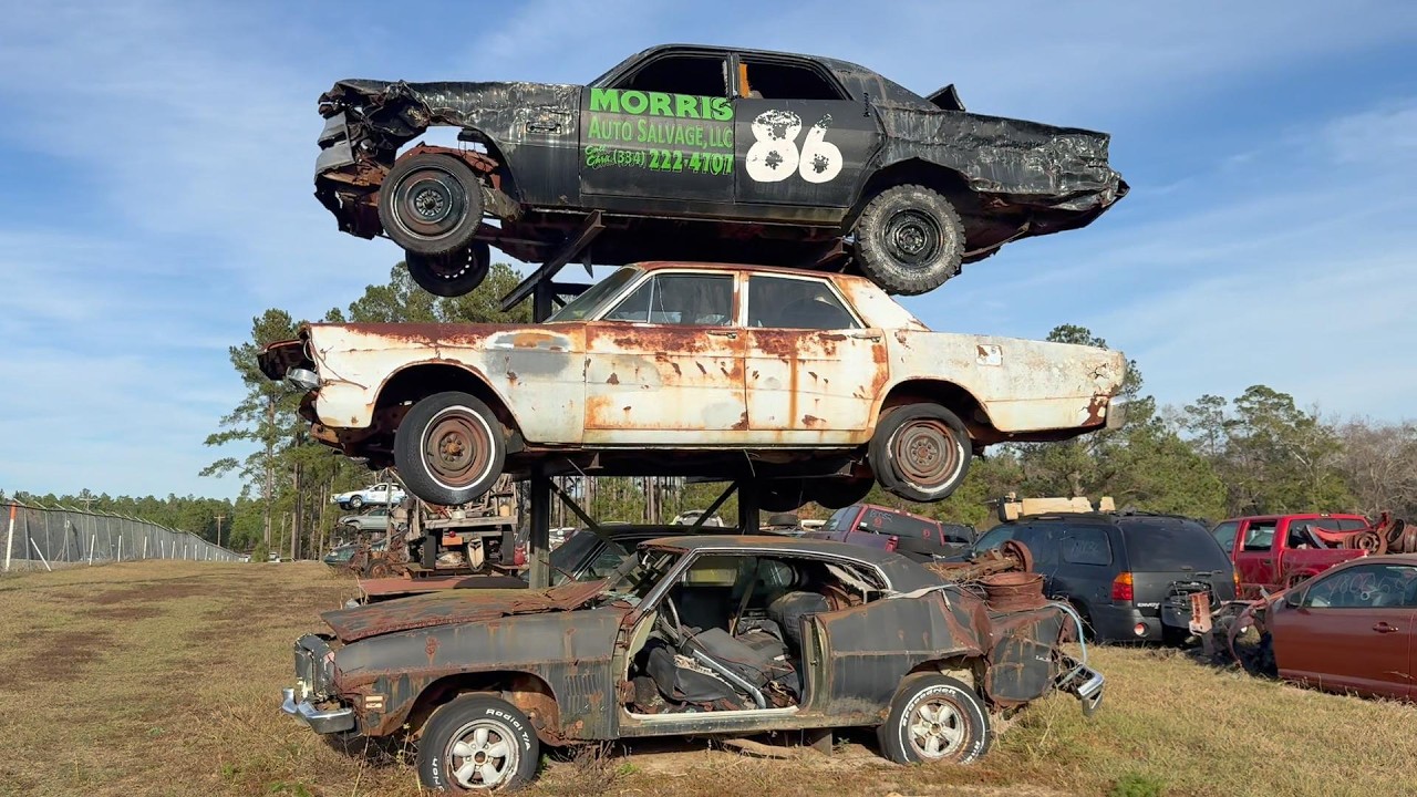 Экскурсия по автосвалке Morris Auto Salvage. Внутри – клёвые вещи! Мы забираем одну домой!
