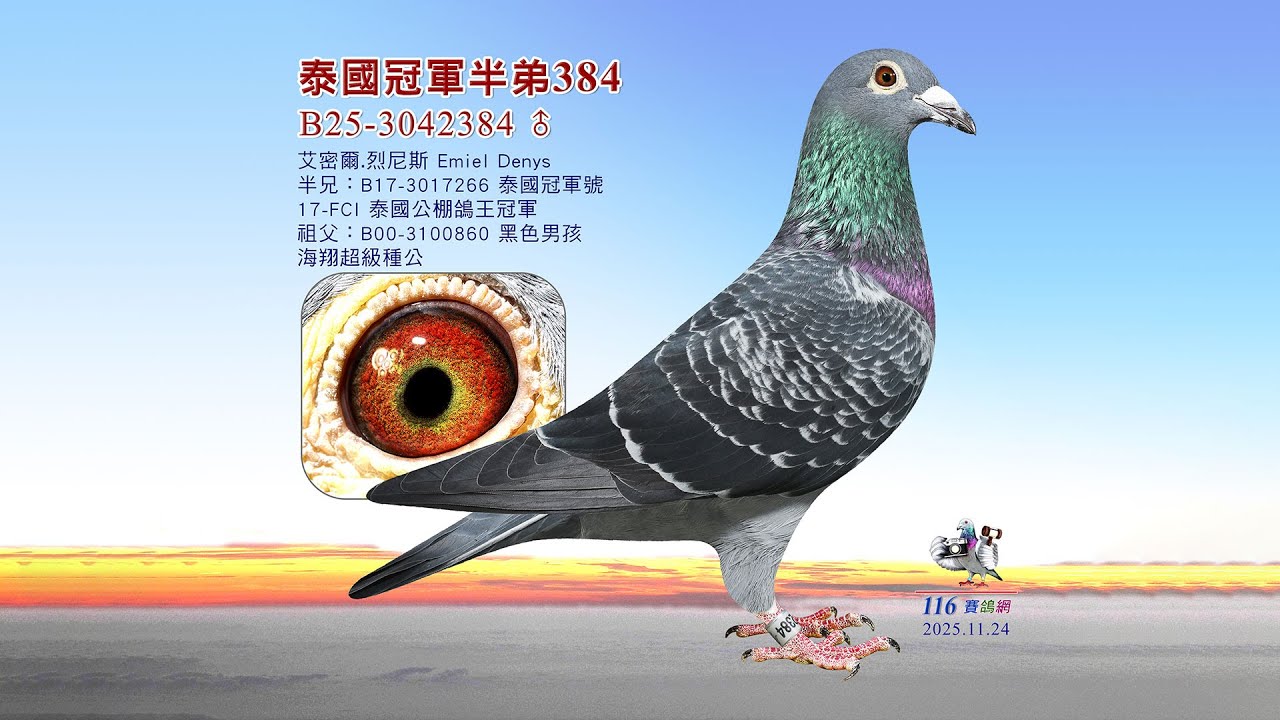 【艾密爾 烈尼斯】B25-3042384
