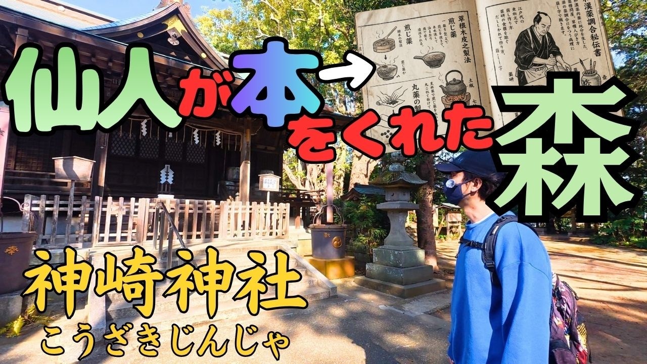 【仙人伝説】平田篤胤『仙境異聞』に出てくる神崎の森へ行ってみた【神崎神社｜千葉県神埼町】