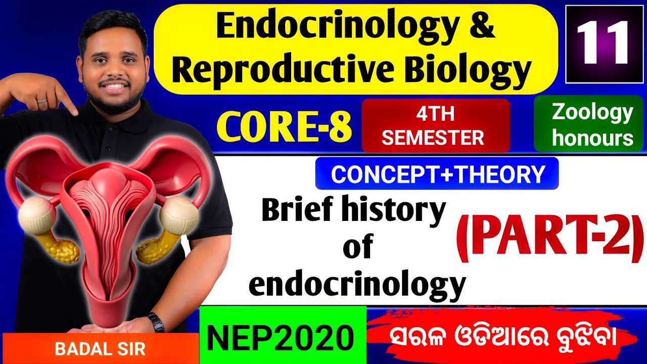 Brief history of endocrinology|PART-2|Zoology honours Core8|4th semester|Endocrinology zoology 