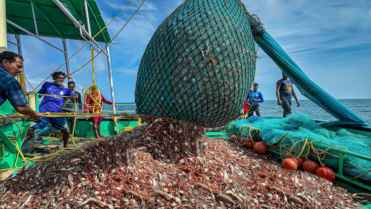 LARGEST CATCH EVER!👍| 7 Tons of Crabs 🦀 Caught in Single Haul WOW!”🤩