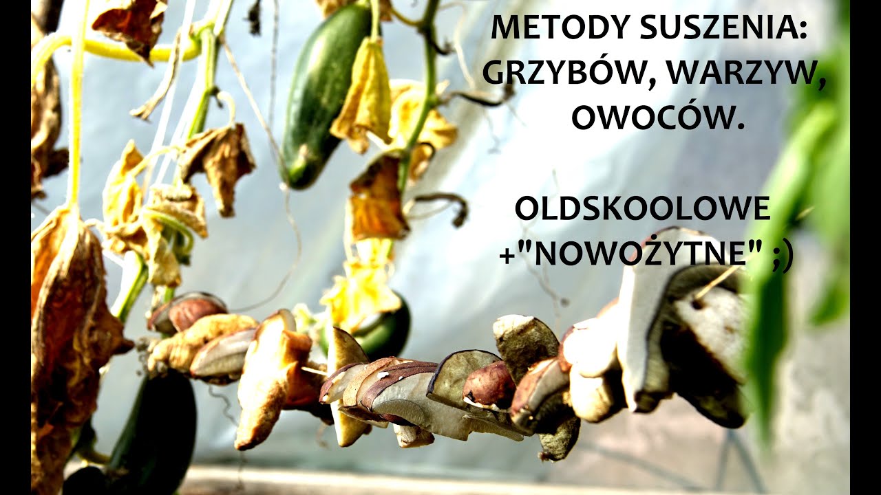 Metody suszenia: grzybów, warzyw, owoców - naturalne, oldskoolowe i z użyciem prądu ;) ZŻ 74