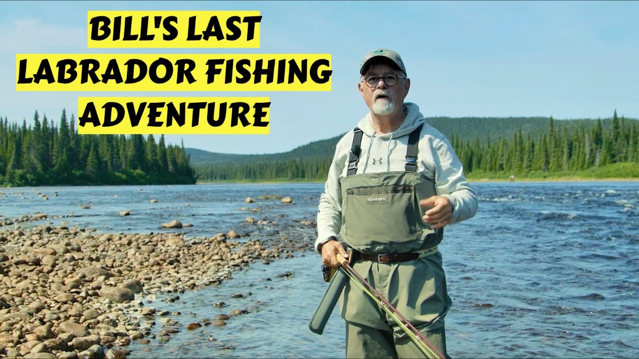 Bill's Final Visit to Beloved Labrador