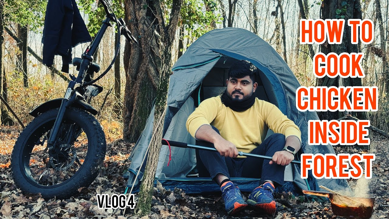 Forest camping and cooking | Solo camping | vlog 4 | ASMR