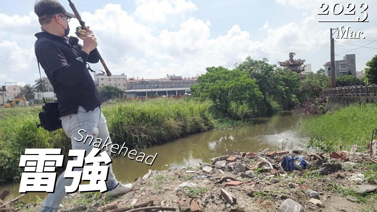 久違的雷強，釣呆那麼多方式，還是雷強最對味! #路亞 #泰國鱧 #雷強