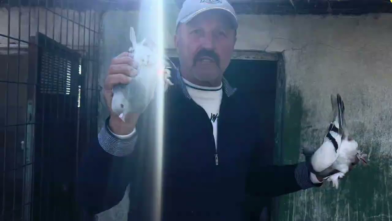 YALOVADAN MUSTAFA MİLLİ USTAMIZIN YILLARIN EMEĞİ DEHŞETLER KAÇIRMAYIN
