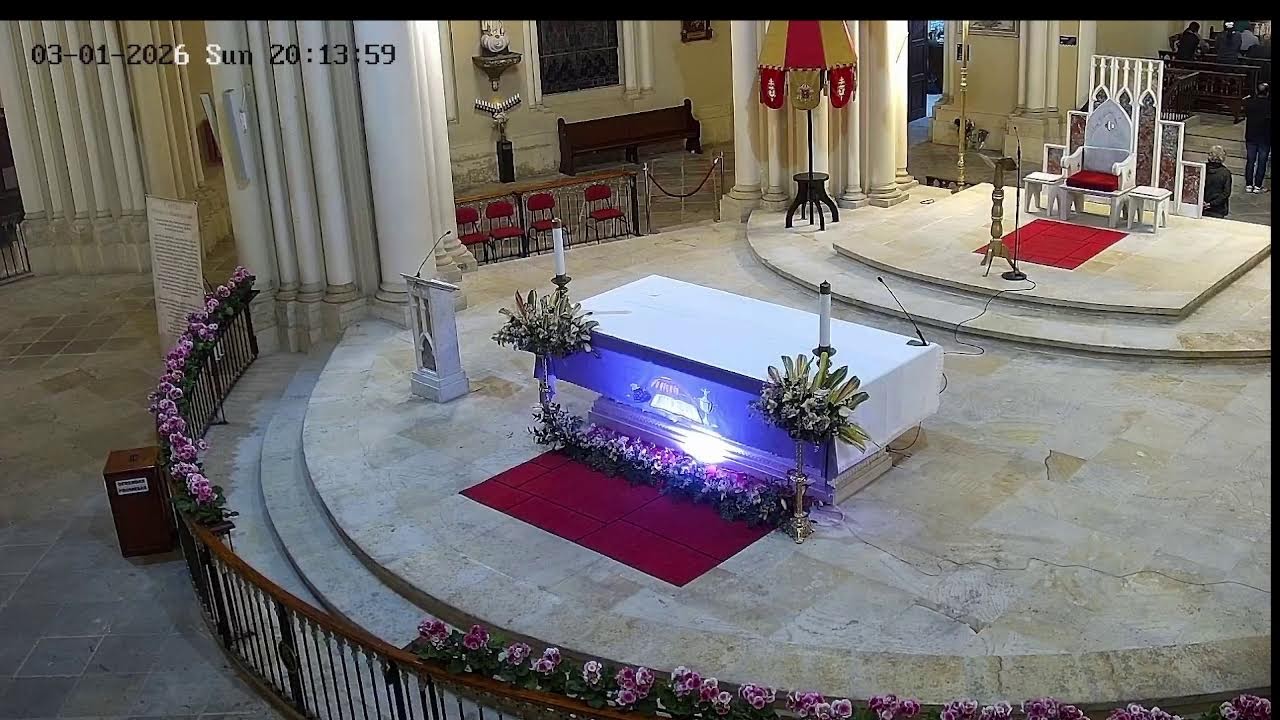 Transmisión Eucaristía Basílica de Lourdes   2024