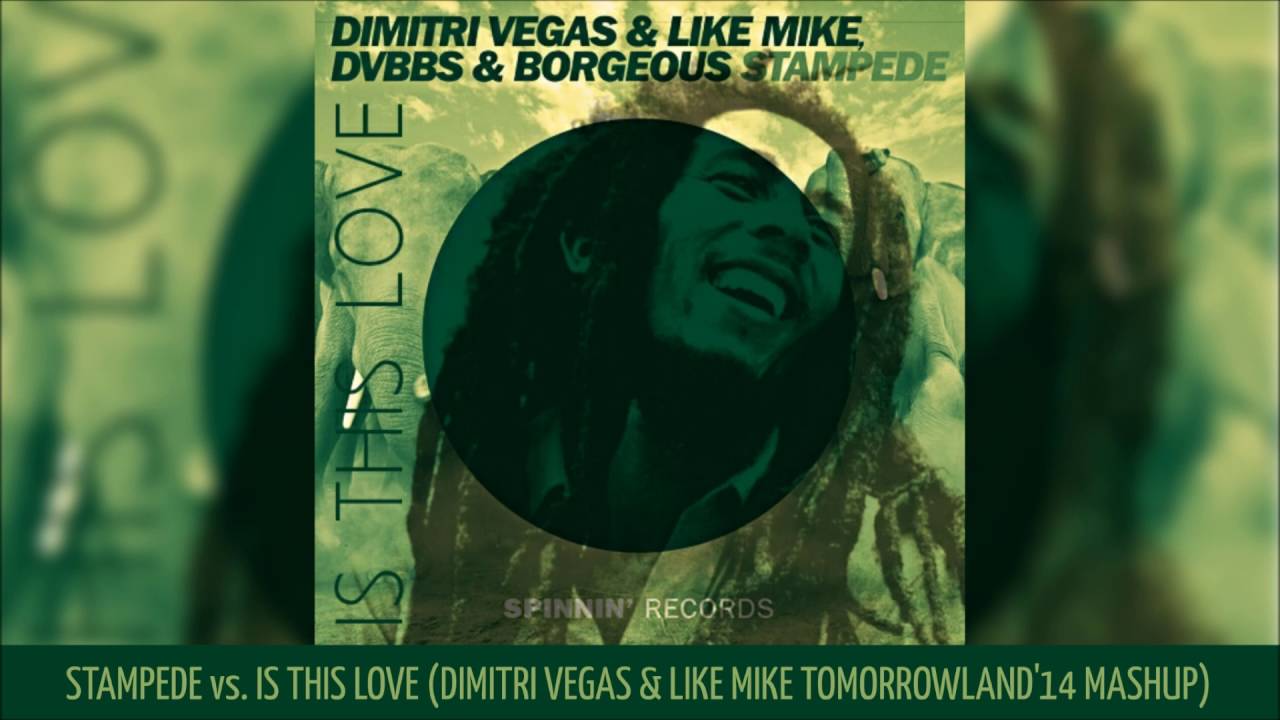 Stampede vs Is This Love (DV&LM Tomorrowland´14 Mashup)