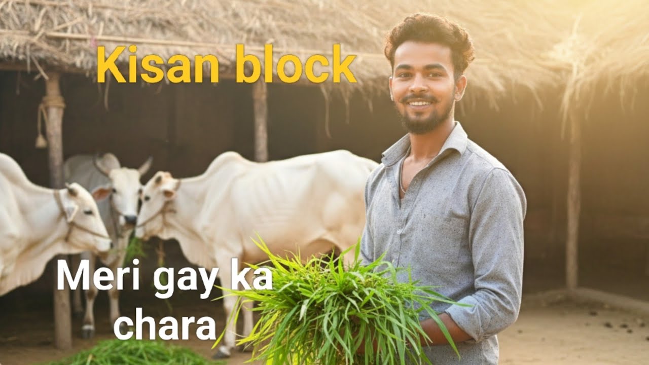 New block gay ko chara kat ke dal raha hun🐄