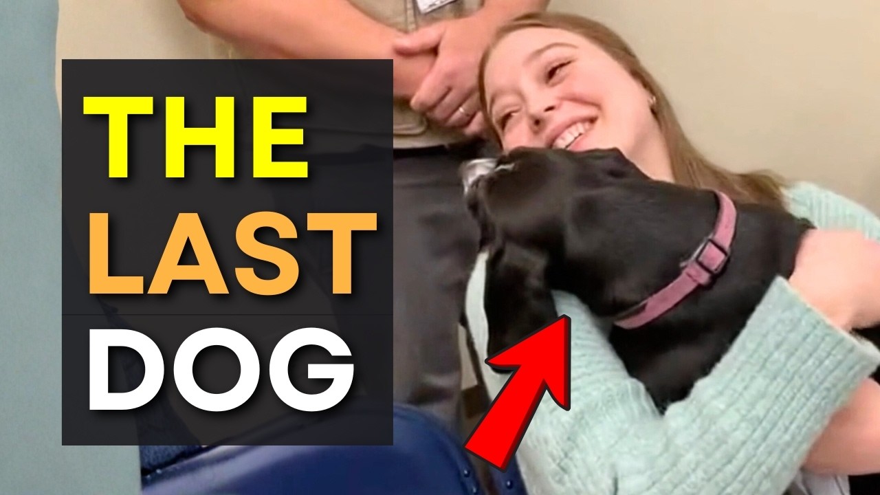 We Let Dogs Pick Their Families on Adoption Day And THIS Happened 😢