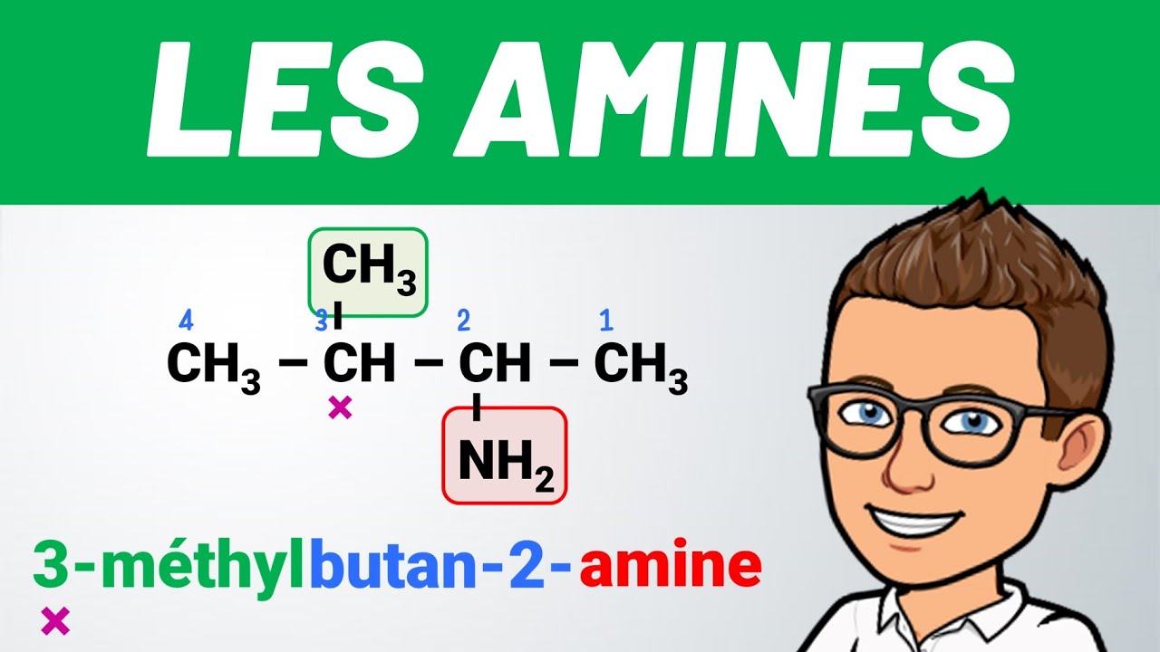 Nomenclature des AMINES ✅ Chimie organique