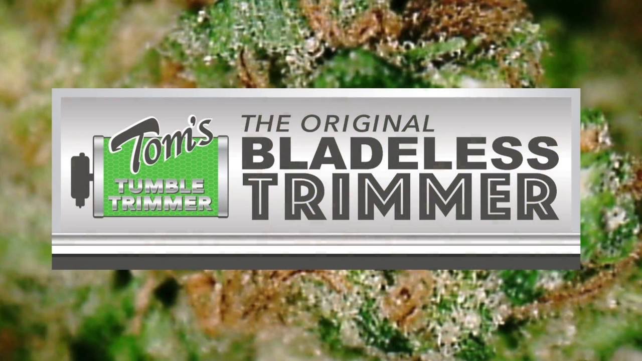 TTT 2600 Commercial Bud Trimmer Short Demo2 - Tom's Tumble Trimmer