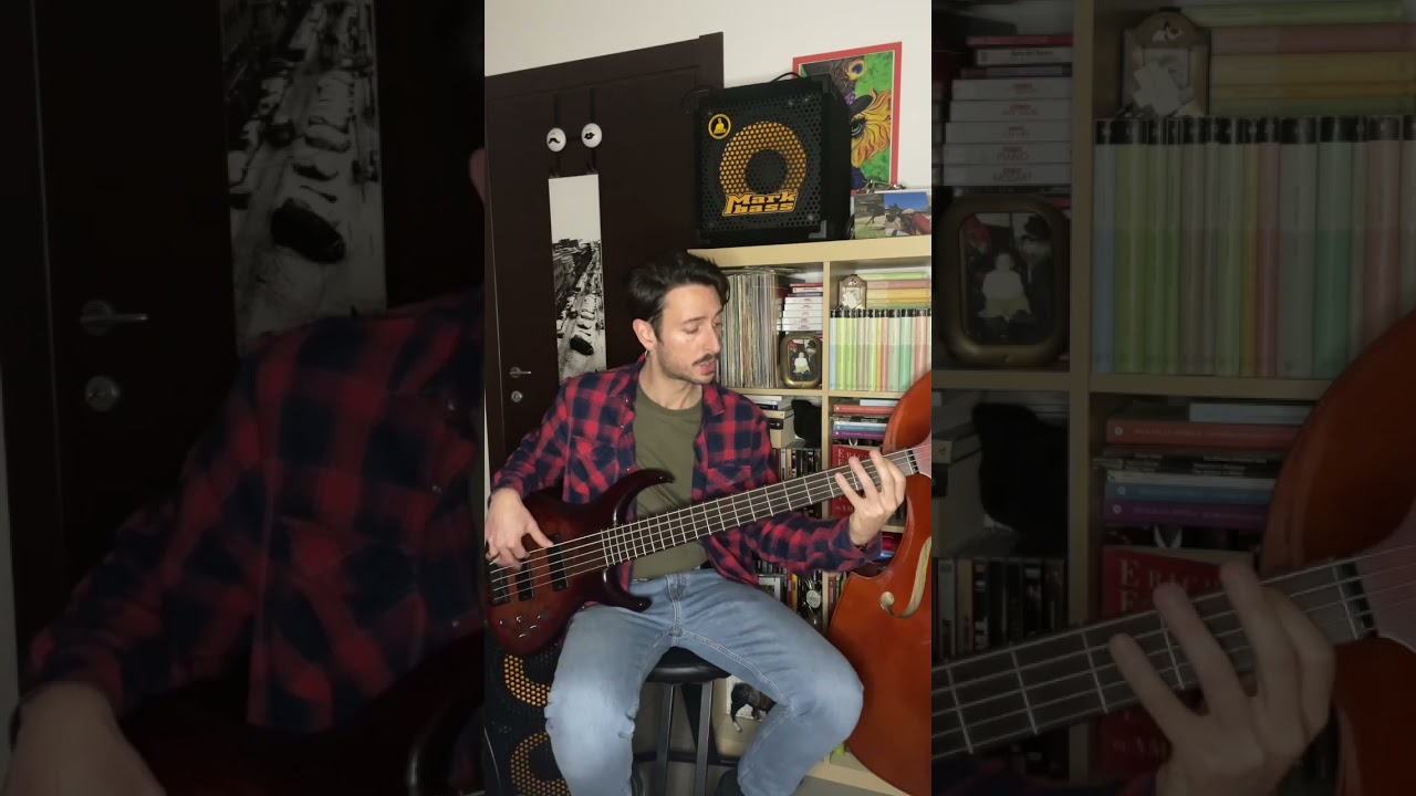 Michel Camilo - Why Not Bass Cover (Mtd 535 & Markbass Vintage D2)