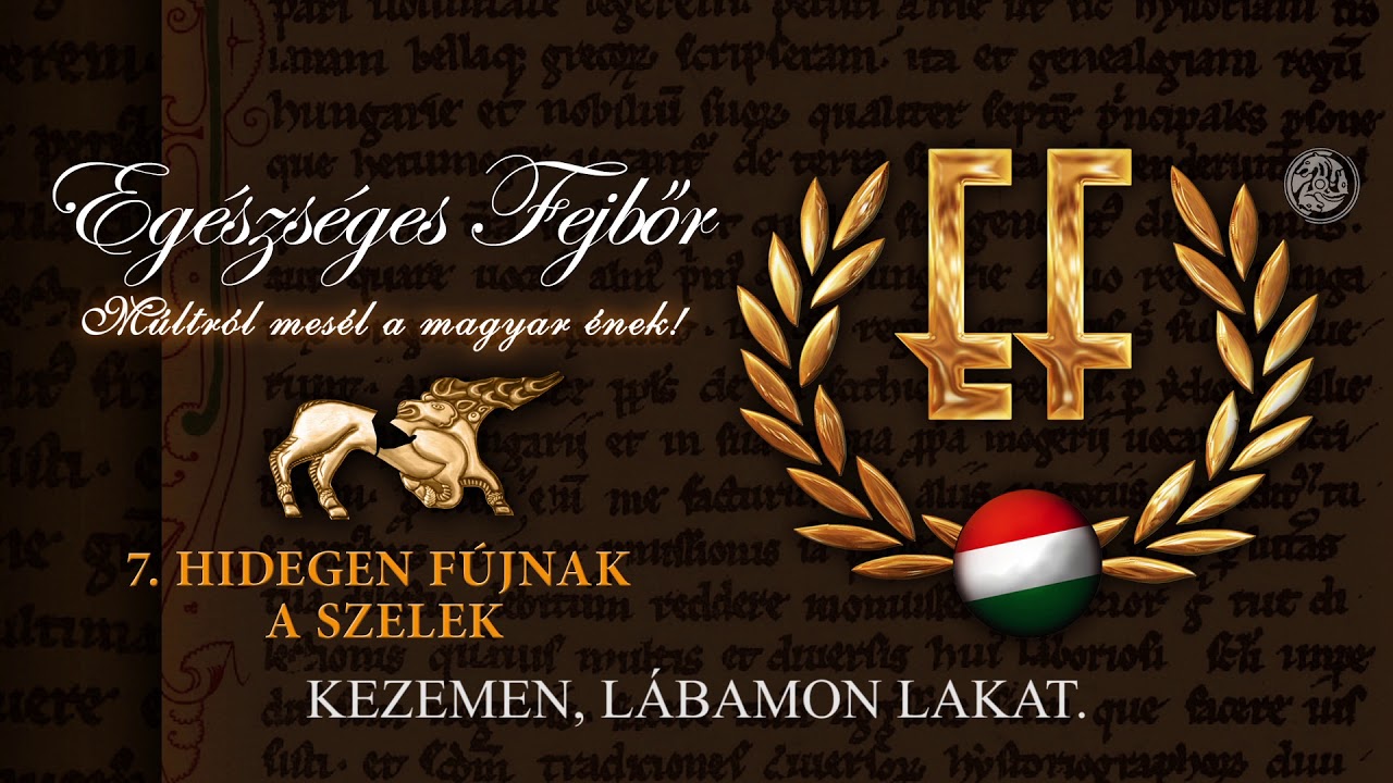 Eg&eacute;szs&eacute;ges Fejbőr - Hidegen f&uacute;jnak a szelek (Hivatalos sz&ouml;veges video / Official lyric video)