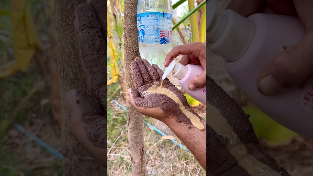Survival Skills SIMPLE and USEFUL save SOAP & Water in Forest #camping #outdoors #survival #skills