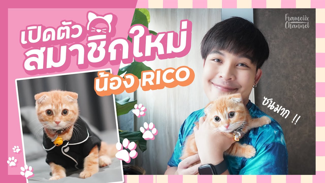 ทาสแมวมือใหม่ เปิดตัวสัตว์เลี้ยงตัวแรก 