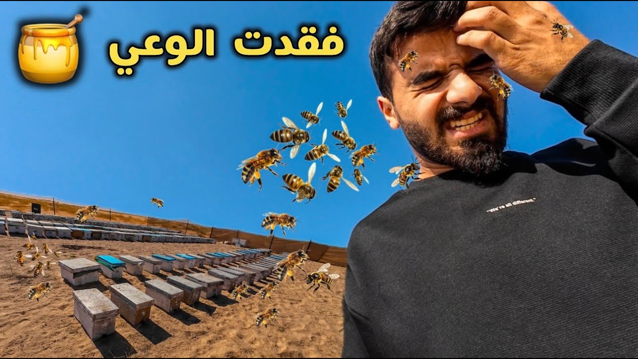 هجوم عدد كبير من النحل بسبب خطأ بسيط
