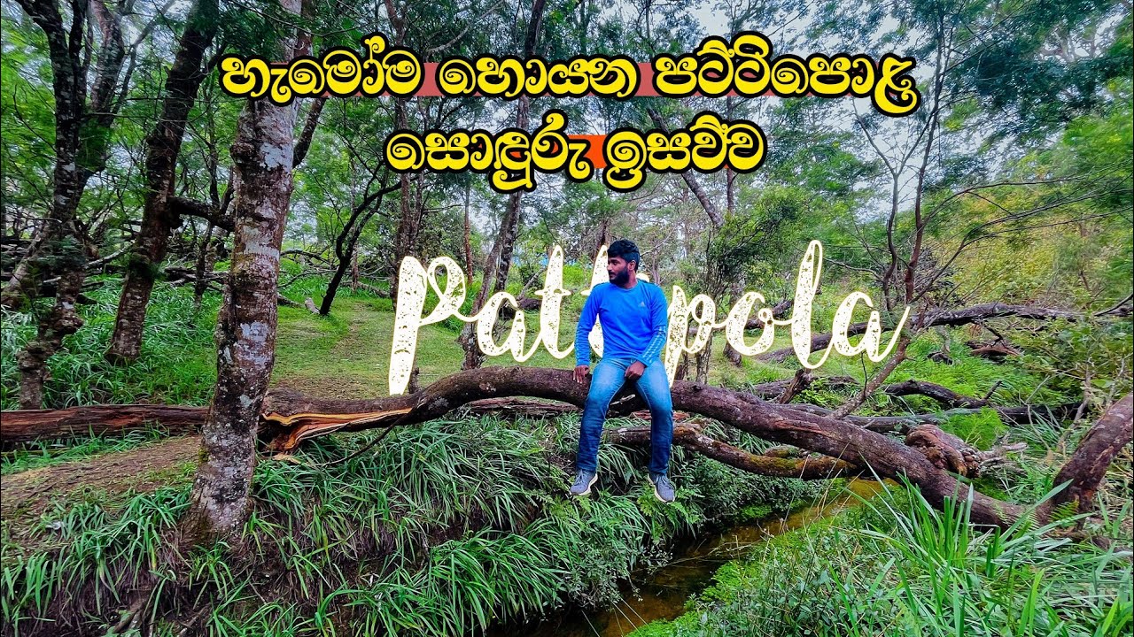 හැමෝම හොයපු පට්ටිපොළ ලස්සනම තැනක් 😍 | Pattipola Sri Lanka | Hidden beautiful place | Sinhala vlog