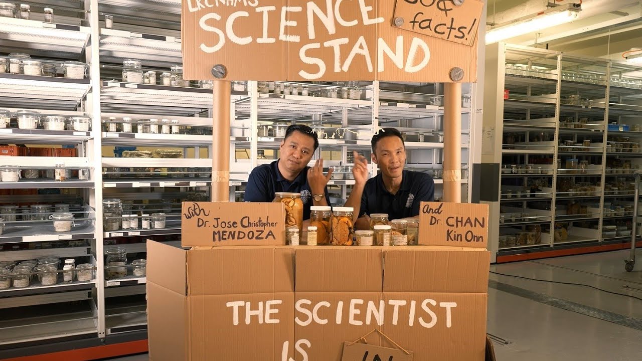 Science Stand EP 9: For the love of crabs!