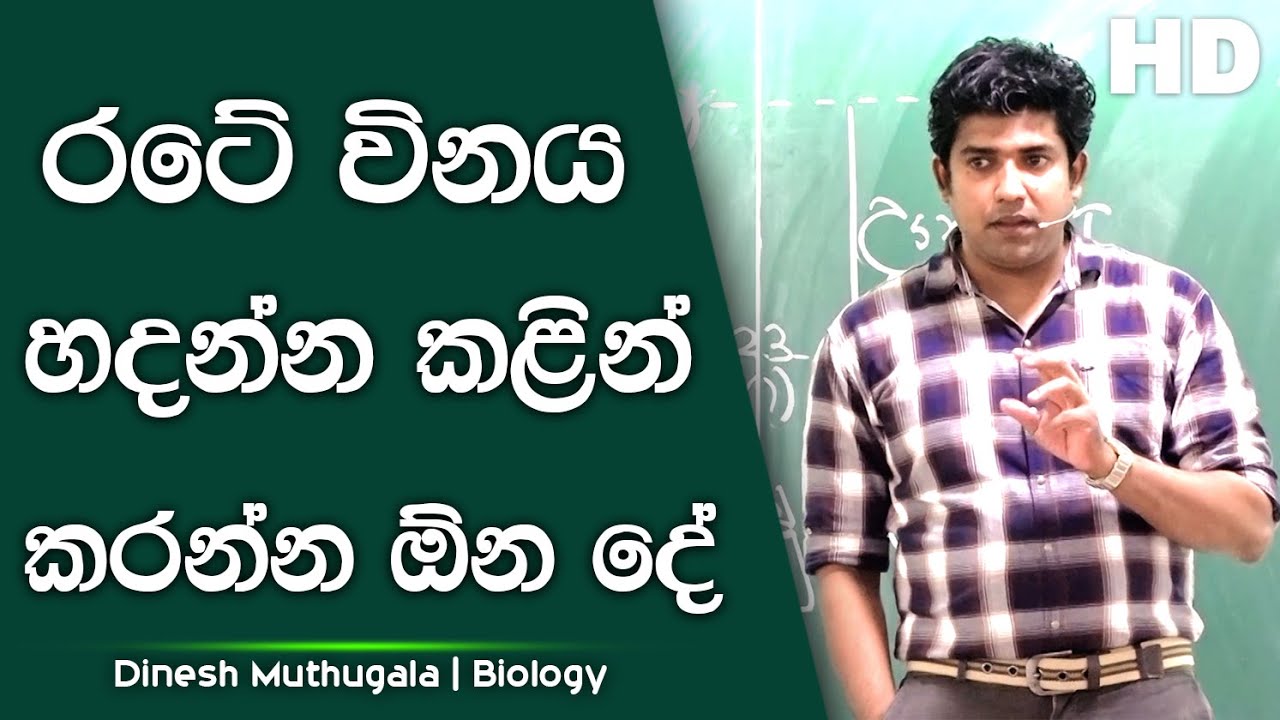 රටේ විනය හදන්න කළින් කරන්න ඕන දේ | Dinesh Muthugala | පැය 4ක බයෝ පන්තියේ ජීවිතේ කියාදෙන විනාඩි 17