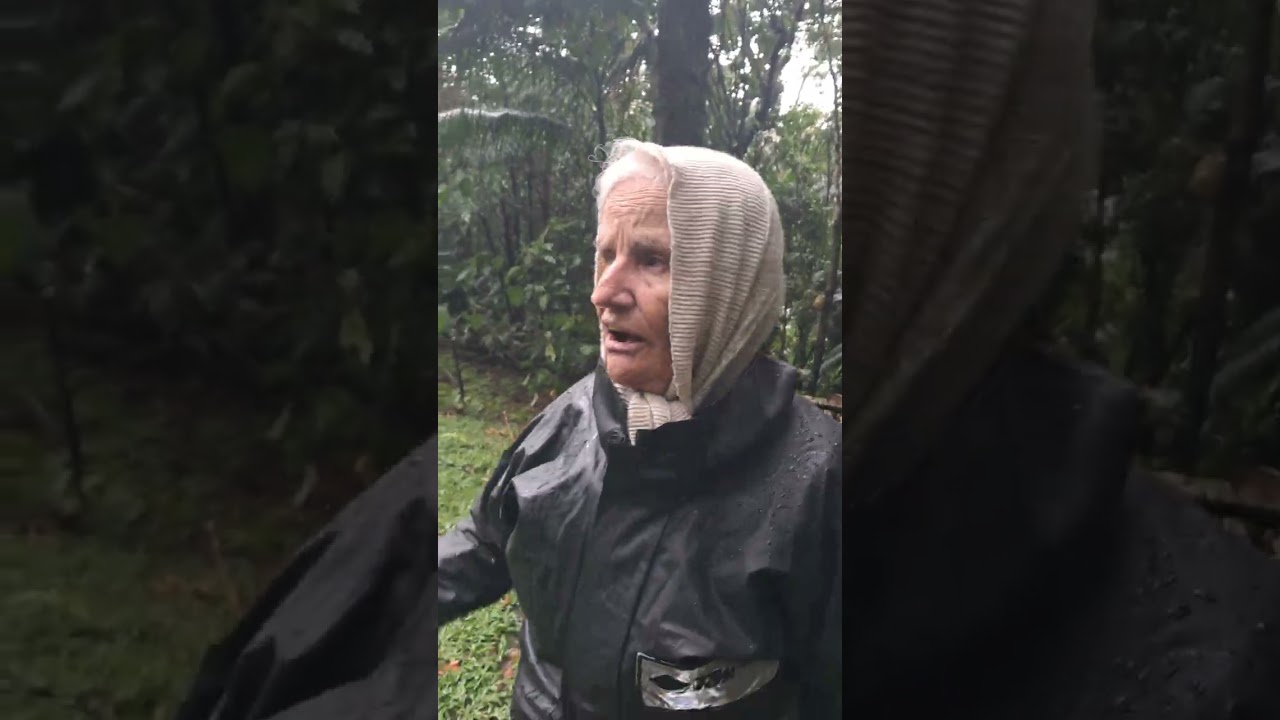 Indo na casa da dona Vera 