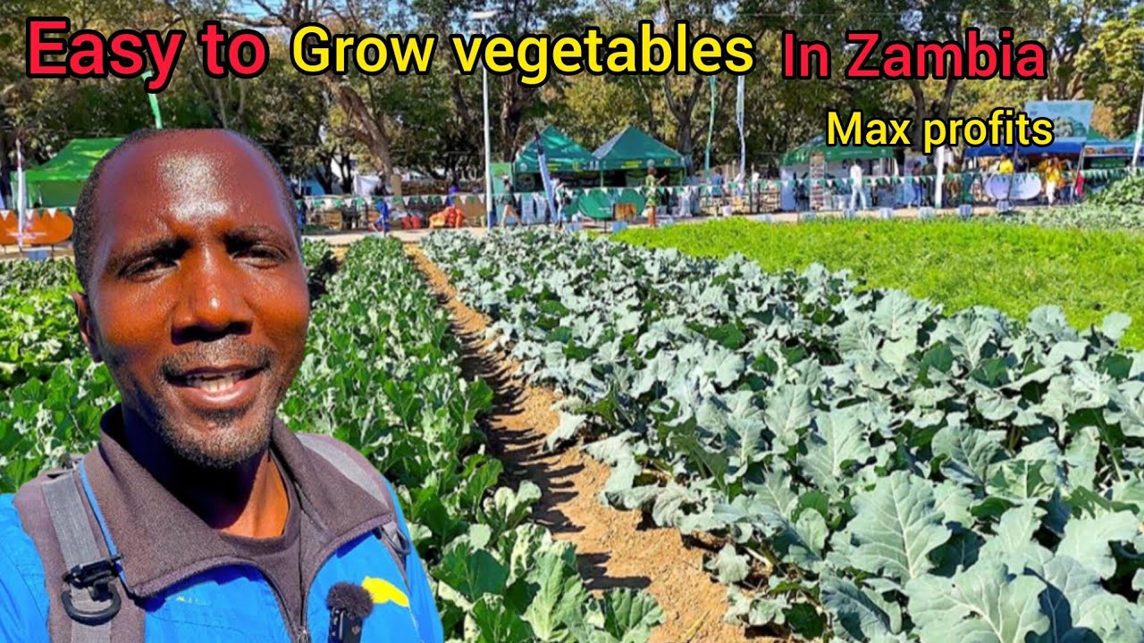 Vegetables grown by different agriculture organisations and government institutions