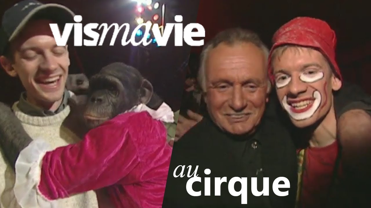 Le cirque est-il en train de disparaître ? - Vis ma vie