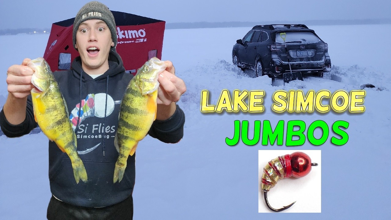 Lake Simcoe - Jumbos Crushing Simcoe Bugs! (Underwater Action)