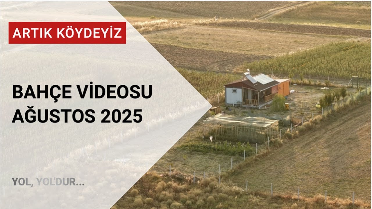 Bahçemizde Son Durum | Yetişen Ürünler, Yeni Düzenlemeler ve Mevsim Keyfi 🌱🍅🌼
