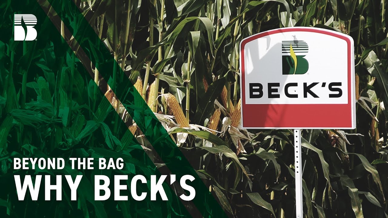 Why Beck's | Beck's Beyond The Bag
