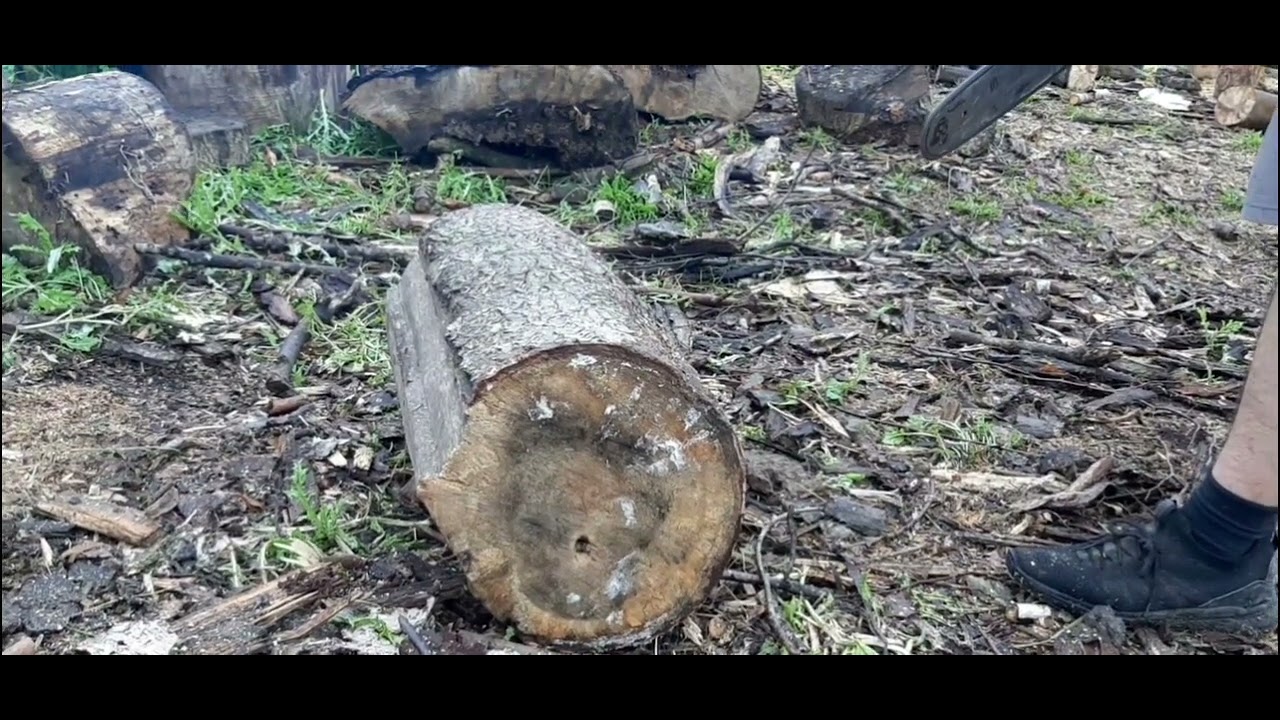 Husqvarna 272xp vs husqvarna 365sp