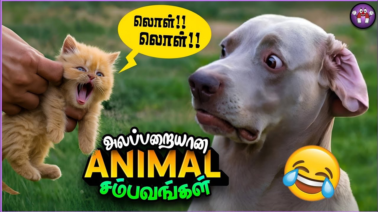 Funny Animal Dubbings (தமிழ்) | The Magnet Family 2.0