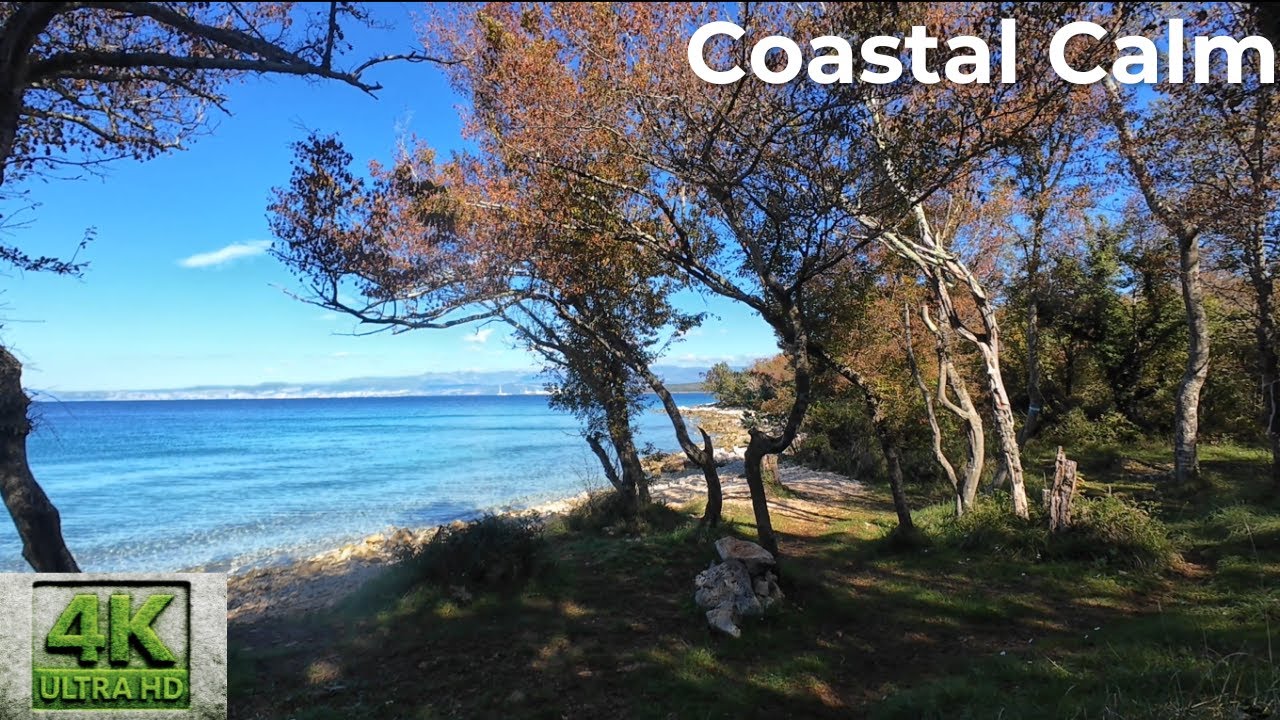 Hidden Coastal Paradise – Nature Walk by the Sea | Stress Relief Ambience