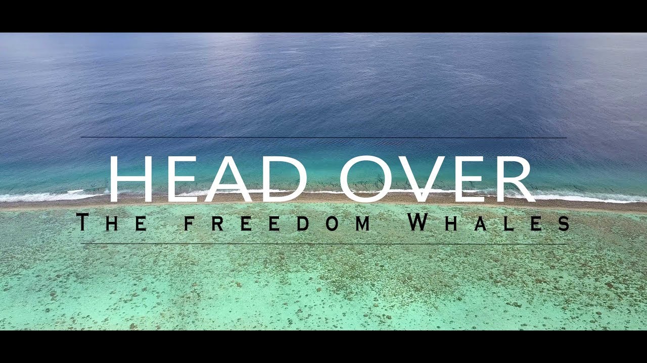 Tahiti - Head Over The freedom Whales 2017 4k frenchpolynesia 4k #TAHITI  #WHALES