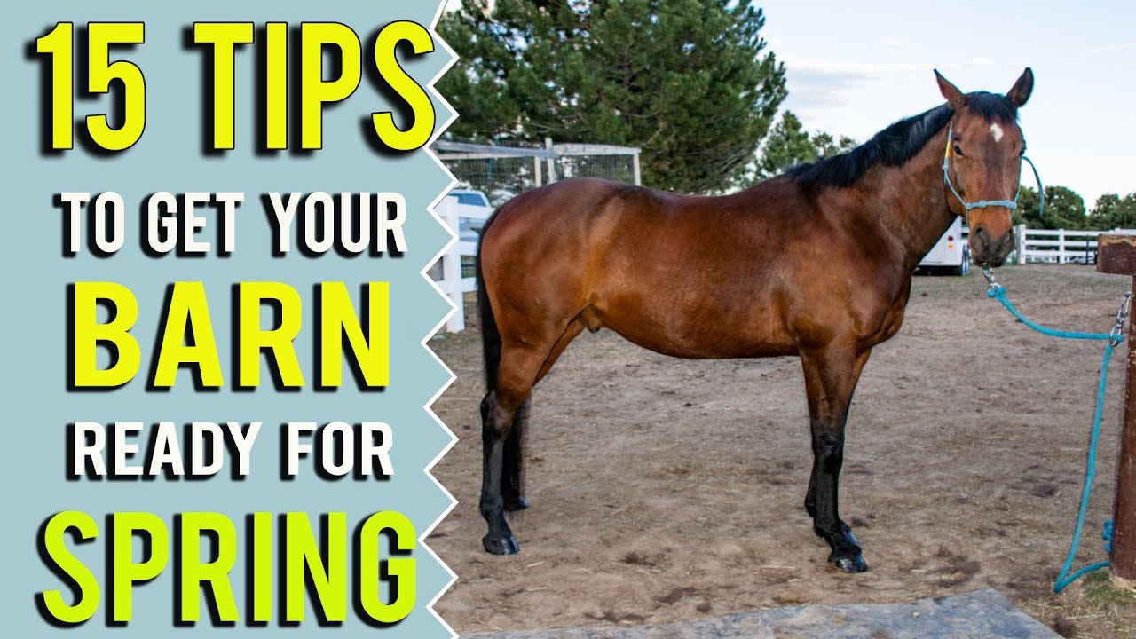 15 Ways To Get Your Barn Ready To Be More Efficient With Your Horse Time