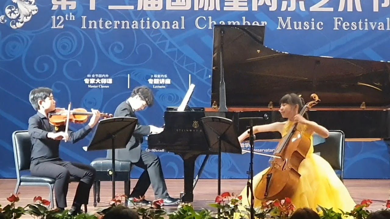 Brahms: Piano Trio No.1 in B Major, Op.8 – 1st Movement (12years old)