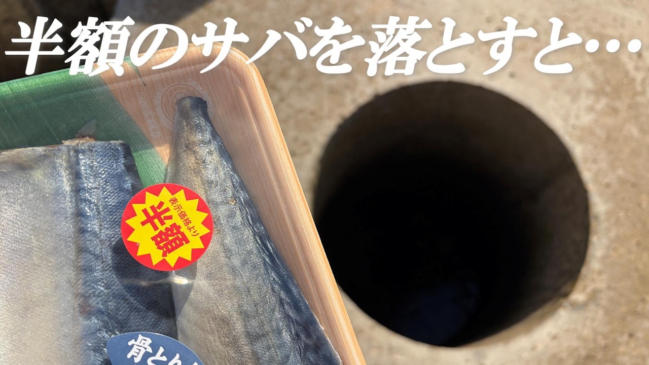 【穴釣り】小さな穴に半額のサバを落とすと…