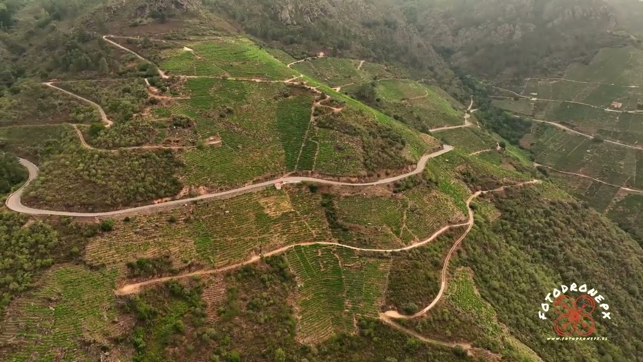 Ribeira Sacra Doade
