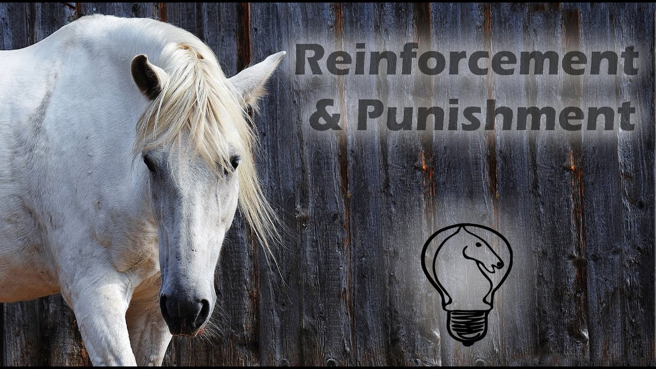 Reinforcement  and Punishment