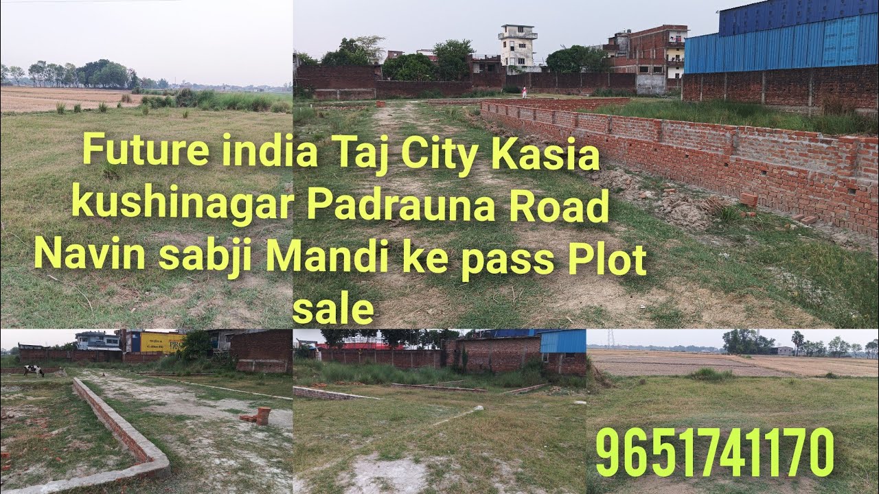 Plot kasia kushinagar Padrauna Road Navin sabji Mandi ke pass Plot sale