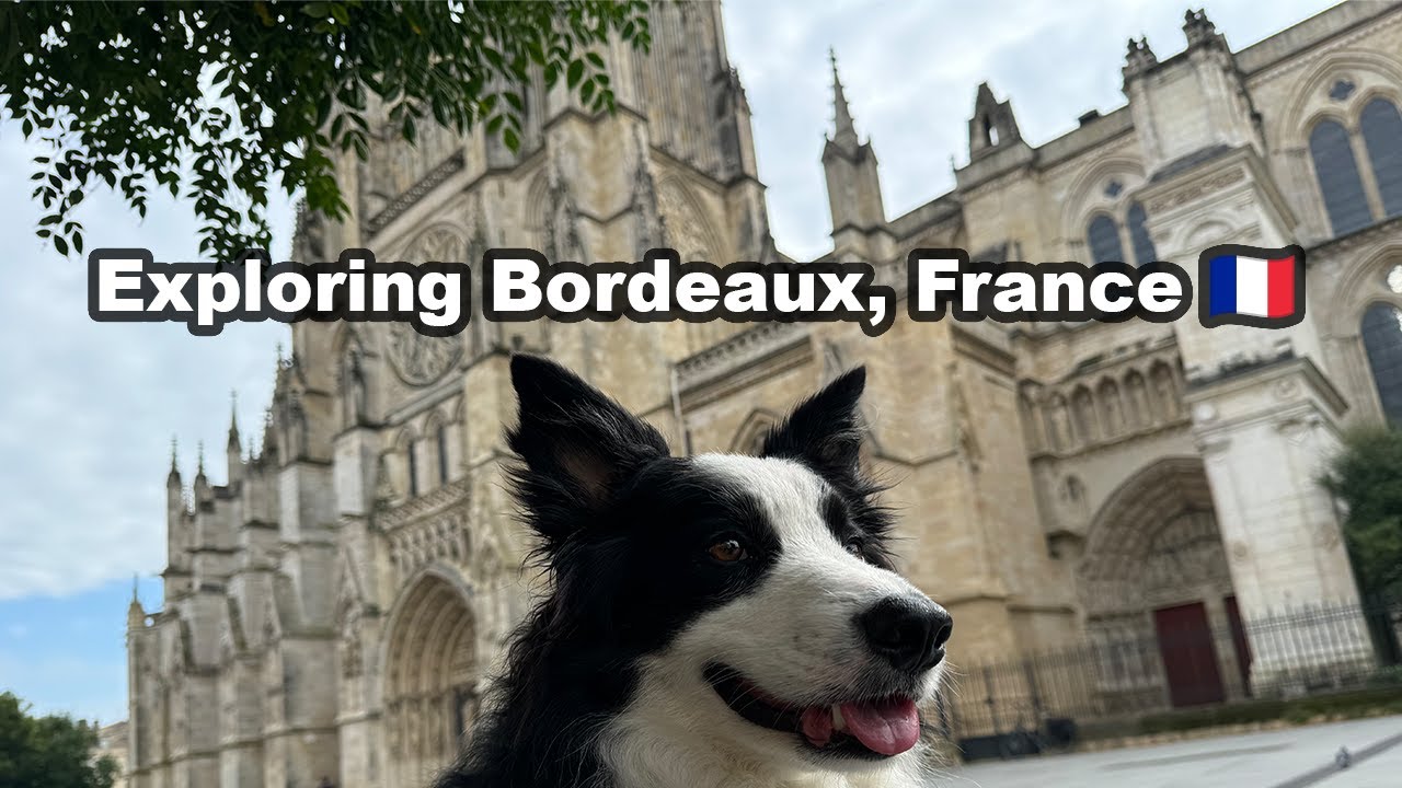 Exploring Beautiful Bordeaux with My Dog Chase 🐶🍇
