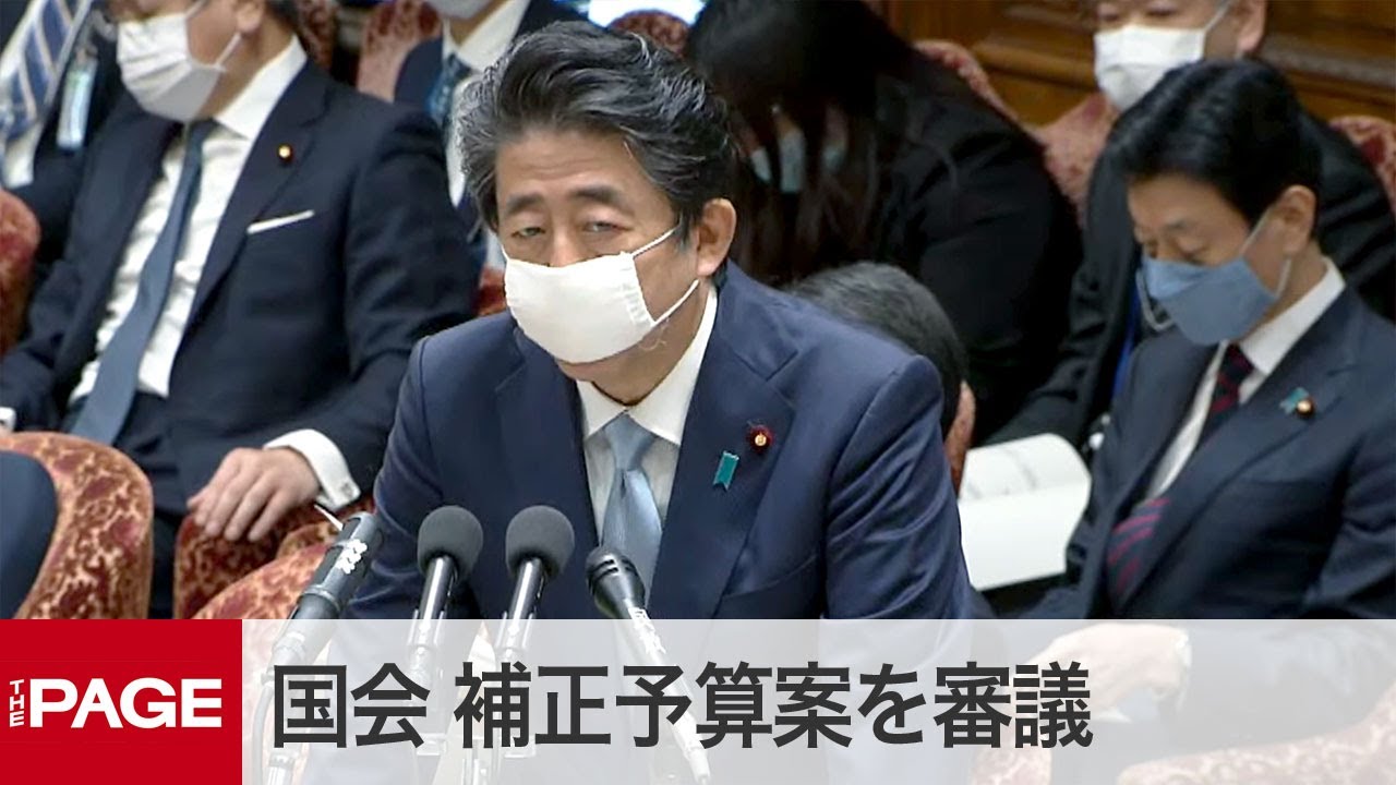 【国会中継】「アベノマスク」受注会社や「家賃」支援などただす（2020年4月28日）
