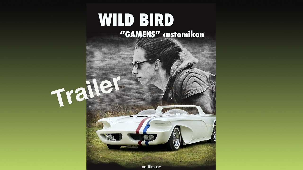 Wild Bird trailer