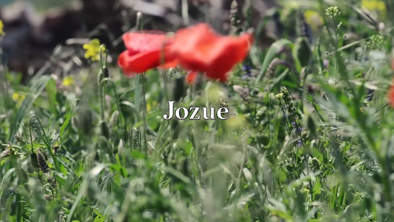 BIBLIA 24 | Jozue