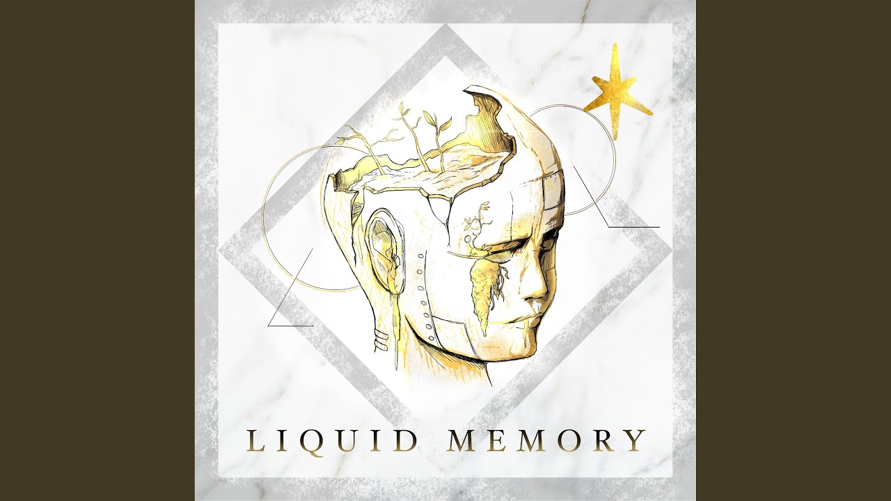Liquid Memory