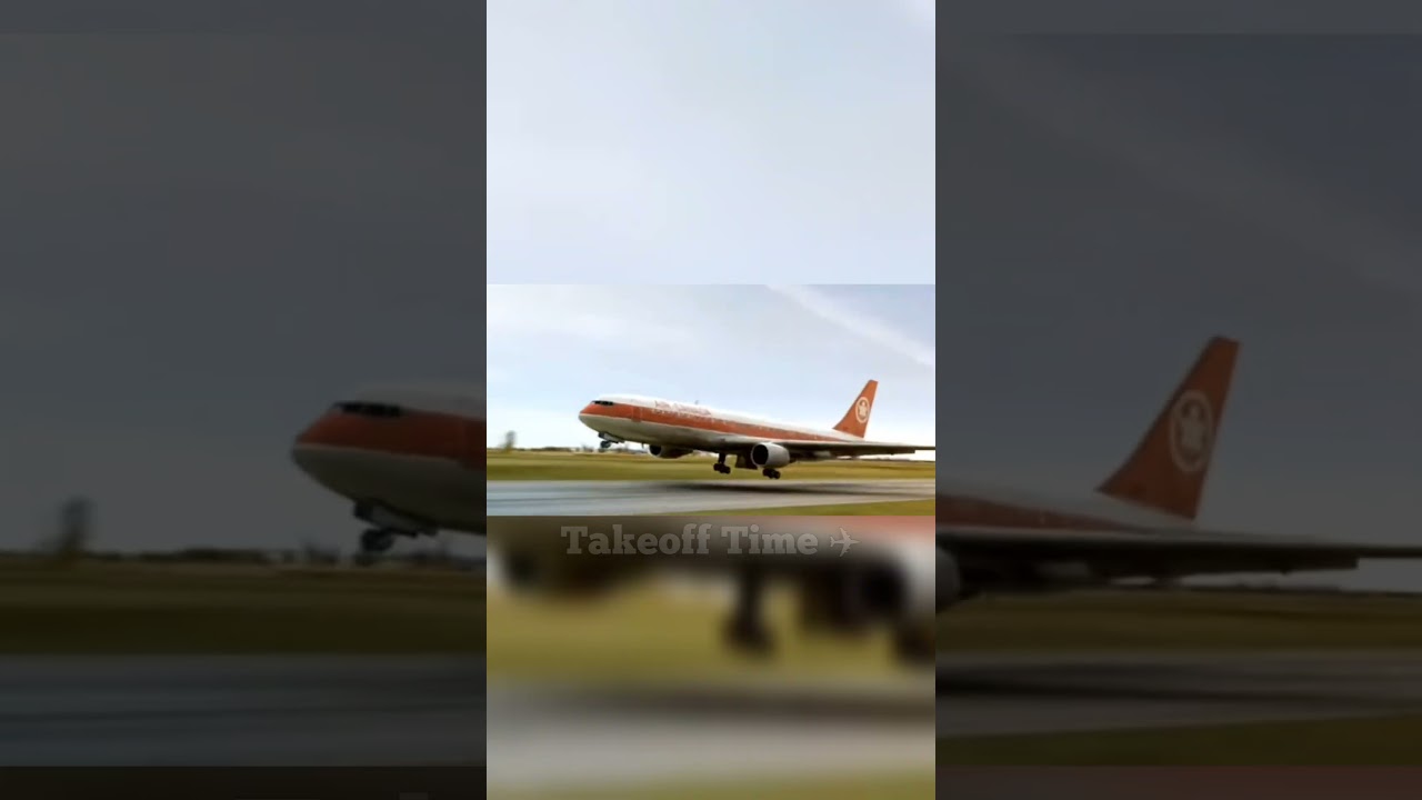 Best Emergency Landings with no deaths - last part #airplane #plane #aviation #emergencylanding