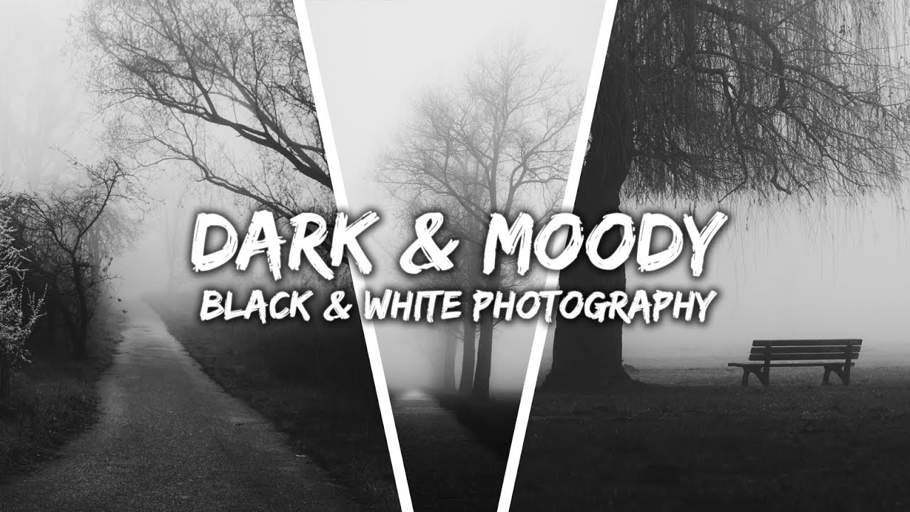 How to edit DARK & MOODY BLACK & WHITE Photos | Landscape Photography | Lightroom