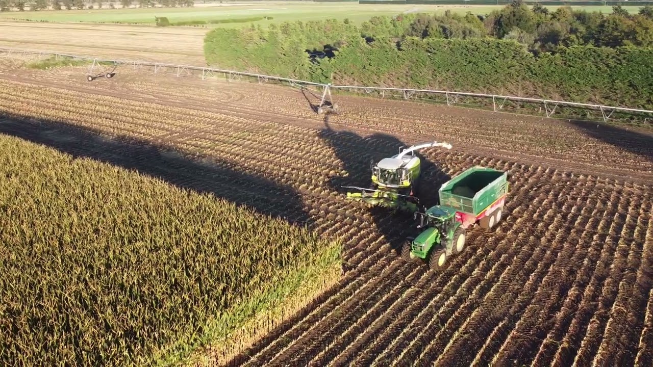Jackson Holmes// Chopping Maize