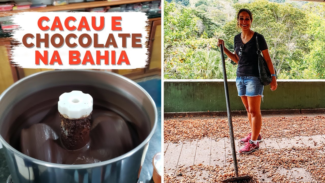 Passeio a FAZENDA de CACAU na BAHIA + chocolate em Itacaré