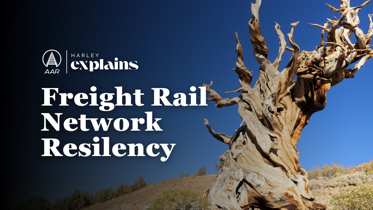 How Freight Rail Networks Stay Resilient | Harley Explains
